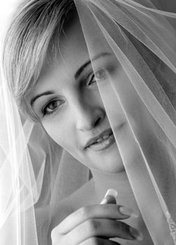 Portrait of smiling young bride wearing veil.