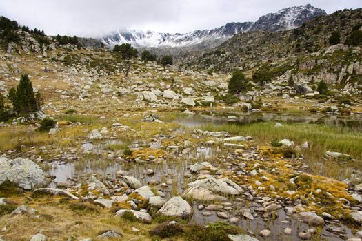 Green meadow and swamp in Pyrenees mountain - Andorra. Autumn day.