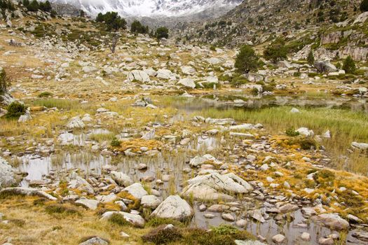 Pyrenees mountain in Andorra. Swamp in autumn day.