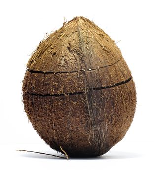 cracked coconut, isolated,