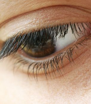 Macro shot of a beautiful woman's eye.