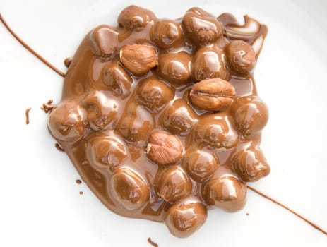 Chocolate covered hazelnuts