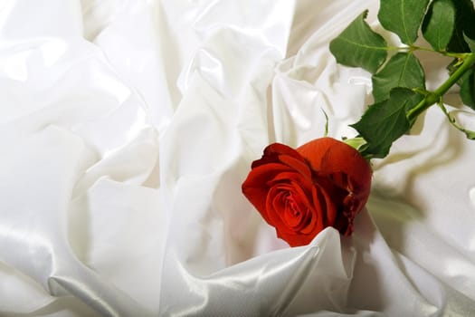 Red rose with green leaves among the folds of a white textured  textile