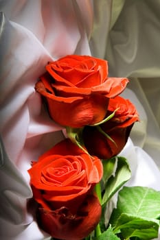 Red roses with green leaves among the folds of a white textured textile
