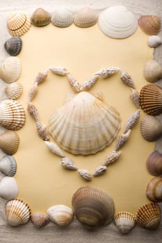 Old yellow paper and shell on sand