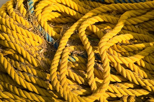 yellow rope decomposed outdoor to dry