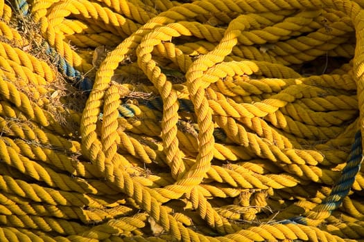 yellow rope decomposed outdoor to dry