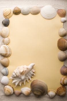 Old yellow paper and shell on sand