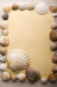 Old yellow paper and shell on sand