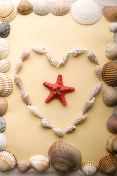 Old yellow paper and shell on sand