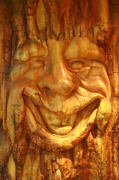 smiling face of an old tree in an enchanted forest
