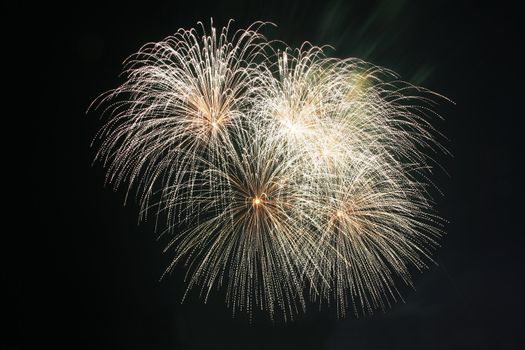 koosh ball fireworks against the dark sky
