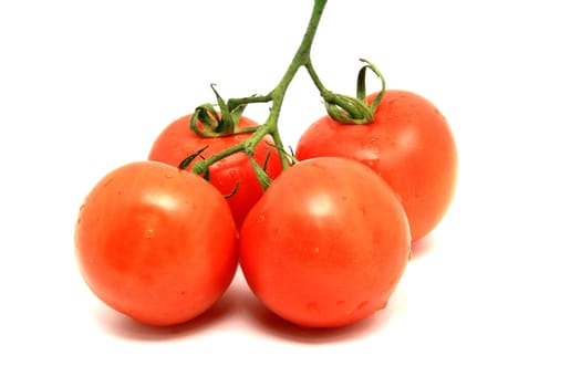 four beautiful red tomatoes