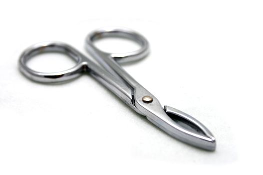 A hemostat on white background.