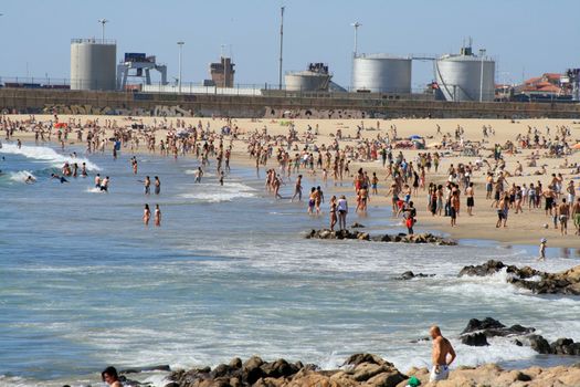 crowded beach in the summer with surfers