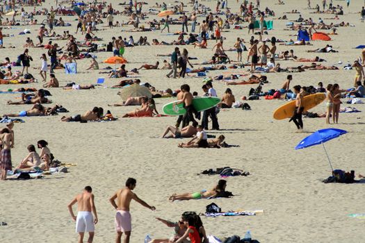 crowded beach in the summer with surfers