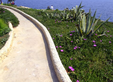 A beautiful pathway in Malta, lined by wild growing plants