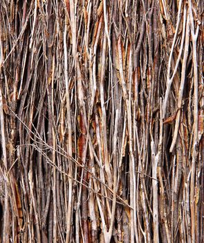 Background - Vertical Sticks within Brush Fence