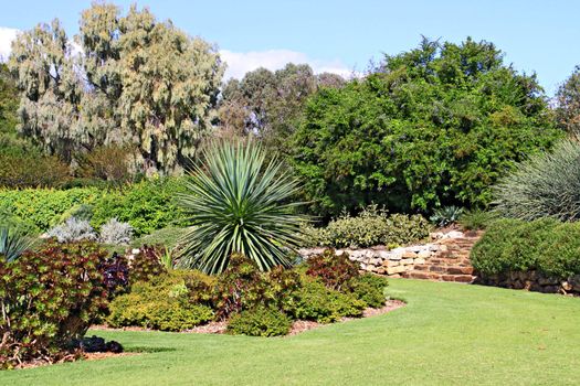 Formal Garden with Beds of Succulent Plants