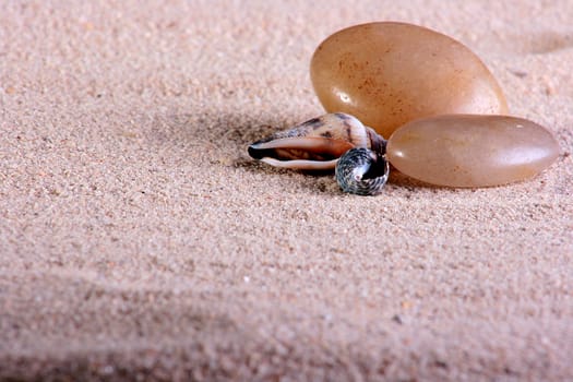 On a beach two stones and two cockleshells, a surf zone lie.