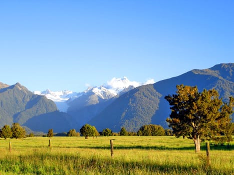 Evening light over a grassy field in front of Mount Cook and Mount Tasman, New Zealand