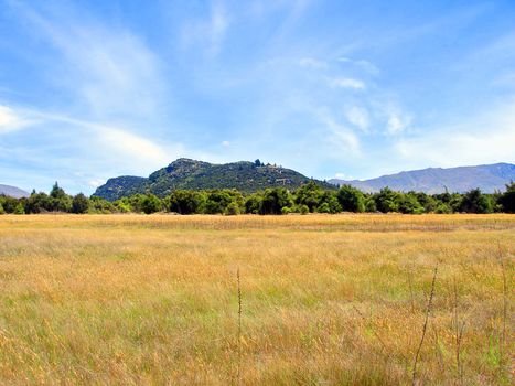 Field of Long Dry Grass in front of Mount Iron. Wanaka, New Zealand
