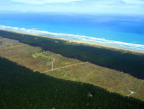 Aerial view of Aupouri Forest (Pine Plantation) alongside Ninety Mile Beach, Northland, New Zealand