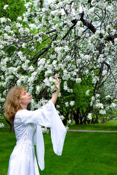 The blonde girl in white dress and apple-tree with white flowers
