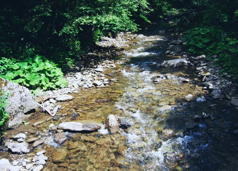 a mountain stream flow over rocks 