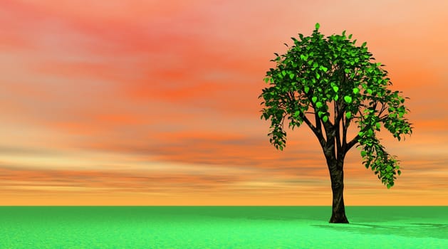 Spring tree in orange and green landscape