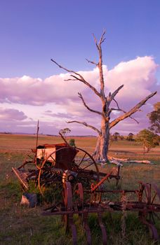 old machinery and plow in front of dead tree on a farm