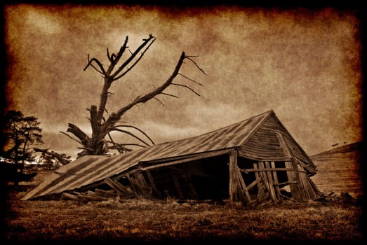 grungy old building on his farm is falling down