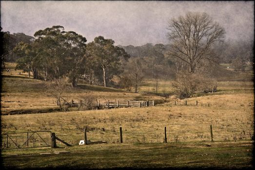 old rickety bridge in the middle of the farm pasture