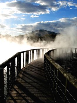 Wooden walkway through geothermal steam  in Kuirau Park, Rotorua, New Zealand