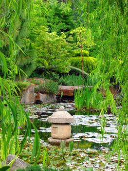 Japanese Water Garden
