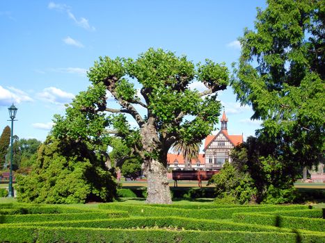 Goverment Gardens, Rotorua Museum of Art & History, New Zealand