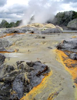 Pohutu Geyser, Whakarewarewa Thermal Reserve, Rotorua, New Zealand