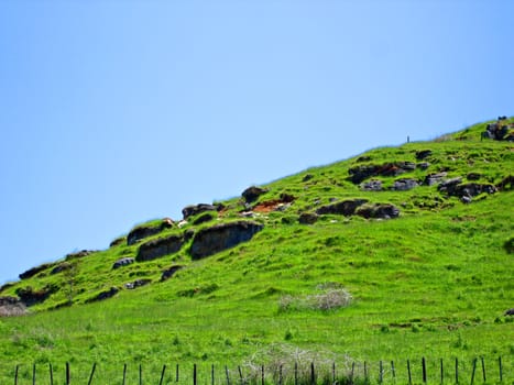 Grassy Hill with rustic wooden fenceline. Waitomo, New Zealand