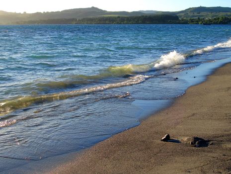 Sandy Shore of Lake Taupo at Sunset, New Zealand