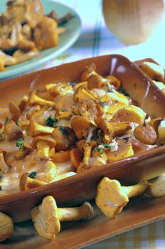 Fried golden chanterelles in plate 


