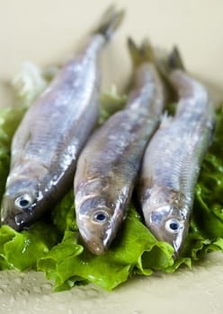 three smelt on plate and lettuce