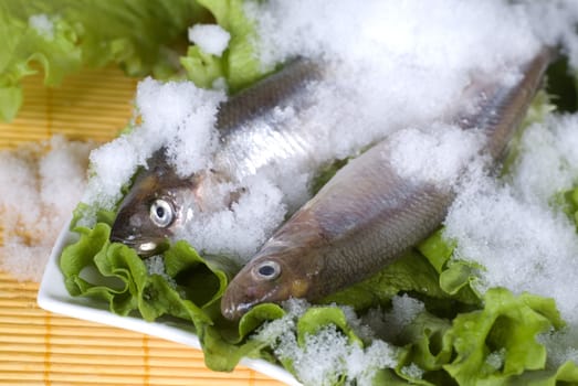 two smelt on plate and lettuce