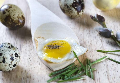 Fresh eggs of a quail on a spoon