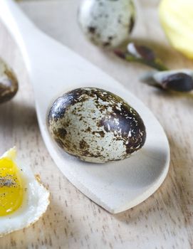 Easter eggs of a quail with