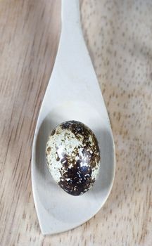 Fresh eggs of a quail  on a wood background

