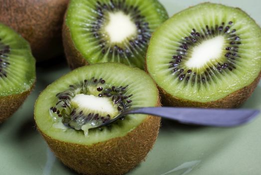 Kiwi Fruit 