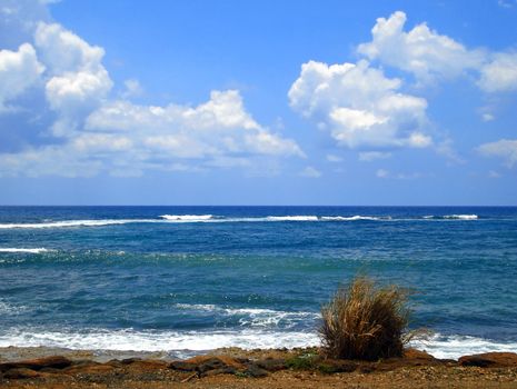 Shore of Kauai, Hawaii