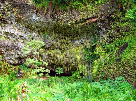 Fern Grotto, Wailua State Park, Kauai, Hawaii