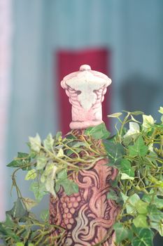 Old ceramic bottle and green leaves of a plant around