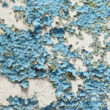 Texture of a concrete wall covered blue peeled paint and a dirt